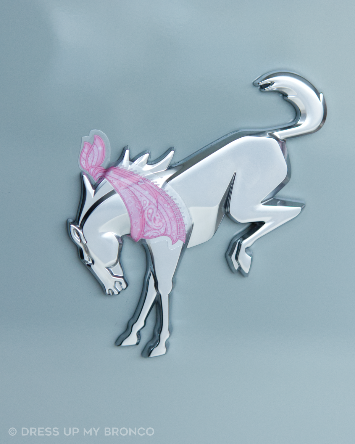 Pretty in Pink — Bronco Rear Emblem Bandana