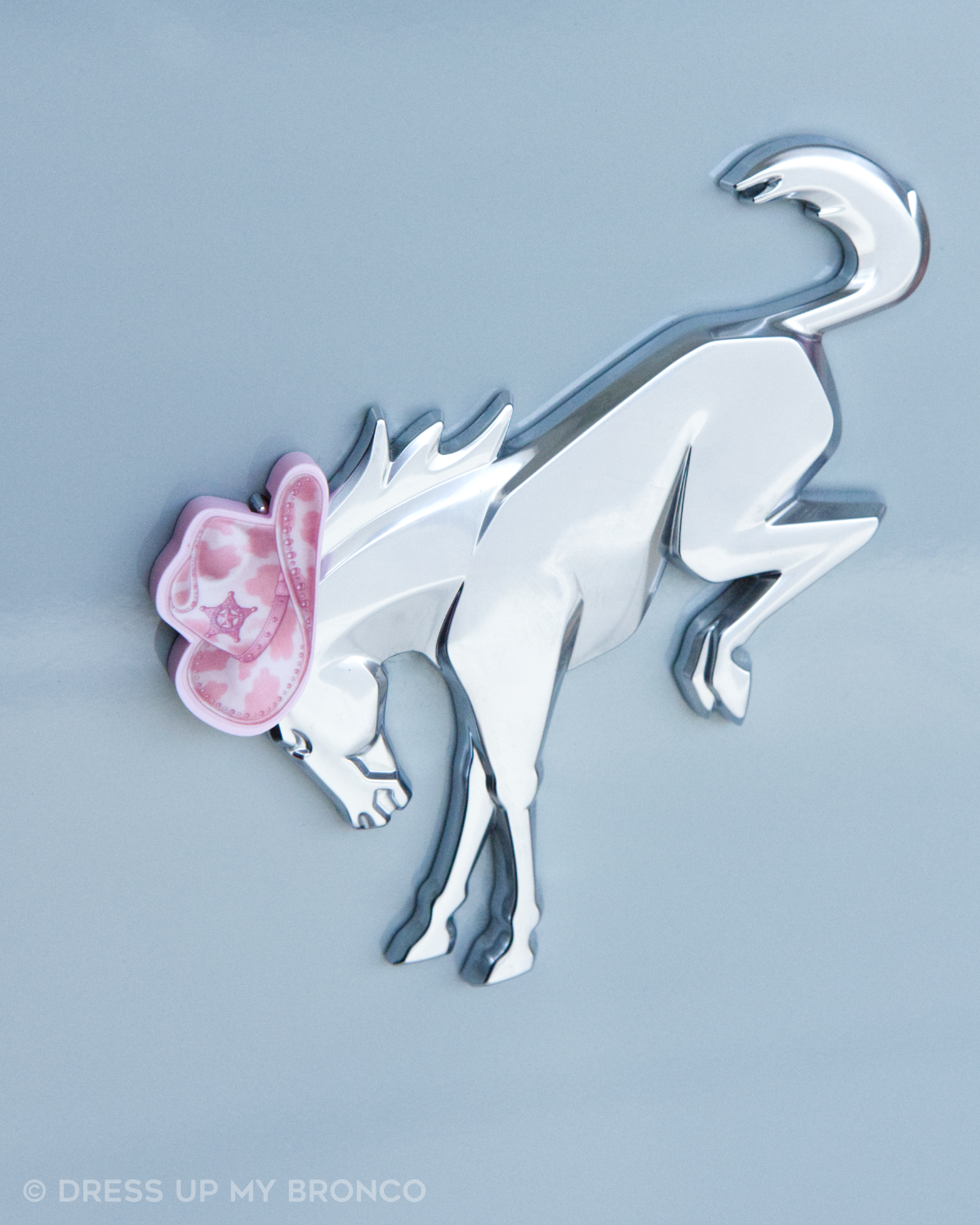 Cowgirl Crush — Bronco Rear Emblem 3D Hat
