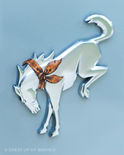 Spooky Bandana — Bronco Rear Emblem Decal