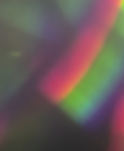 Bronco Girls Hit Curbs — Holographic Window Sticker